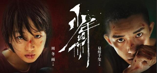 明尼苏达大学国际商务文凭证书
